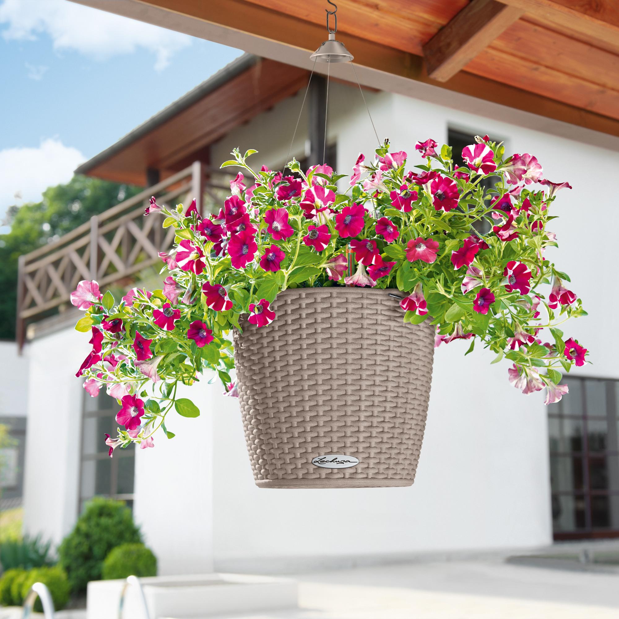 le_nido-cottage28_product_addi_02